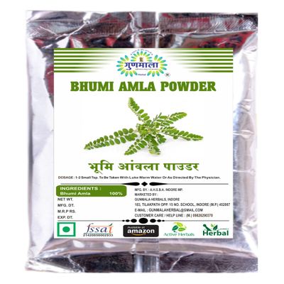 Bhumi Amla Churna - 500g Pack Of 1
