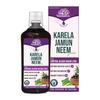 Vansatva Ayurvedic Kareal Neem Jamun Diabetes Care Juice 1 Ltr | Control Blood Suger Levels | Support Digestive Health & Metabolism and Boost Immunity view 1