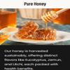 Bee9 Multifloral Honey (250G) | Sahad | Raw And Unprocessed | Rich In Vitamins And Minerals | No Added Sugar & Adulteration | Useful For Immune Support For Adults & Kids view 4