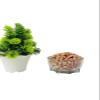 DADHISAGAR Raw Peanuts, Premium Desi Singdana, Jumbo Size, Vacuum Packed (500g(pack of 1)) view 4