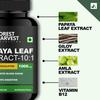 Forest Harvest Papaya Leaf 10:1 Extract with Giloy, Amla, Vitamin B12 Capsules | 10X Strength | 1000 mg Per Serving | 60 Capsules | Immunity, Platelet & Digestion Support view 4