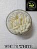 Ajay Enterprises SIZE 0 (500 MG) Empty Vegetarian Capsules (PACK OF 1000) (White, SIZE 0 (500 MG)) view 3