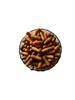 Ajay Enterprises Empty Gelatin Capsules SIZE 0 (500 MG) (PACK OF 1000) (DARK SKIN LIGHT SKIN, SIZE 0 (500 MG)) view 3