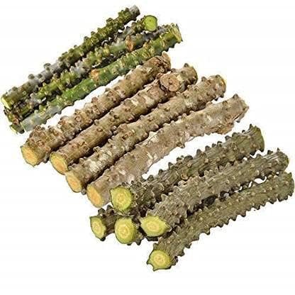 kb Natural Giloy Neem Tree Guruch Gulvel Guduchi Fresh Plant Stems Sticks Giloya Bel (7-inch) Set of 10