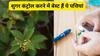 Gudmar Churan - 500 g Pack Of 1 view 3