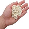 ANTI-STATIC ESD Safe Chlorinated Disposable Latex Finger Cots [Reusable Rubber Fingertips] 4 Mil Thick, White (50) view 3