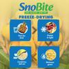 SnoBite Freeze-Dried Kiwi Jar | 100% Natural | No Added Sugar, Zero Preservatives | Healthy, Tasty, Gluten Free Snack for Adults and Kids | 50g view 3
