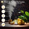 Aroma Monk Essential Oil - Rosemary, Lemon & Peppermint (Focus & Productivity Combo) | Diffuser Oils for Home & Office | 100% Pure, Long-Lasting Aromatherapy Oils for Bright, Citrusy Aroma | Traditionally Distilled in Kannauj - (Pack of 3) 15ml Each view 3