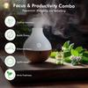 Aroma Monk Essential Oil - Rosemary, Lemon & Peppermint (Focus & Productivity Combo) | Diffuser Oils for Home & Office | 100% Pure, Long-Lasting Aromatherapy Oils for Bright, Citrusy Aroma | Traditionally Distilled in Kannauj - (Pack of 3) 15ml Each view 4