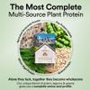 Wellbeing Nutrition Organic Vegan Plant Protein Isolate| 22g Protein, 5g BCAA, 3B CFU Probiotics, Digestive Enzyme, 3g Fiber, Alkalizing Green| NO Bloat, Easy to Digest| French Vanilla Caramel 907gm view 3