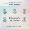 NEW FEEL SKY Urbanova Collagen Bioactive Boost | collagen powder for women & men | Enhance Skin Hair and Joint Health | collagen powder for skin and hair (Pack of 2-400gm) view 4