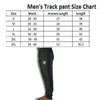 Track Pant for Men || Men Track Pants || Track Pant for Men Polyster Fabric (in, Alpha, L, Regular, Black) view 3