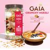 GAIA Nutty Fruit Blast Crunchy Muesli 1 kg jar - Blend of Multigrains, Nuts, Oats and Cornflakes The Ultimate Healthy and Delicious Breakfast Cereals. view 4