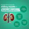 CUREFOREVER Kidney Detox & Cleanser Capsules | Herbal Formula with Varuna, Punarnava, Kapikachu & Flaxseed Extract | Plant-Based | Supports Kidney Health & Urinary Function - 60 Veg Capsules view 3