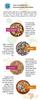FiG Sprouted Healthy Mix (Sattu Mavu)  Multi-Nutri Cereal Powder with 34 Naturally Nutritious Ingredients. Super Food & Nutritional Supplement with No Preservatives view 3
