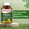 Baidyanath Ayurved Gokshura - 60 Tablets | Supports Strength & Vitality view 3