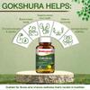 Baidyanath Ayurved Gokshura - 60 Tablets | Supports Strength & Vitality view 4