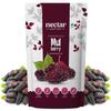 Nectar Superfoods Freeze-Dried Mulberry & Mango Combo | 100% Natural Fruit Snack | No Added Sugar or Preservatives | Healthy Vegan & Gluten-Free Snack for Kids & Adults | 40g Pack view 2