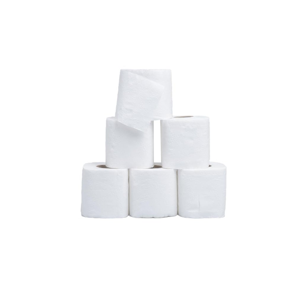 Meghraj Toilet Paper Rolls, Pack of 6, White