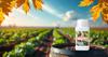 Bacterial Blight Control Liquid view 4