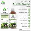 GargRishi Neem Karela Jamun Juice | Natural Ayurvedic Herbal Juice for Balanced Blood Sugar, Digestive Health, and Immunity Support | Rich in Antioxidants, Purifies Blood, Improves Skin (1000) view 3