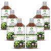 GargRishi Neem Karela Jamun Juice | Natural Ayurvedic Herbal Juice for Balanced Blood Sugar, Digestive Health, and Immunity Support | Rich in Antioxidants, Purifies Blood, Improves Skin (3000) view 1
