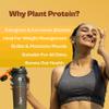 Origin Nutrition 100% Natural Plant Based Protein Powder, 821 gm, European Pea Protein Isolate & Pumpkin Seed, Mango Flavour with 25g per Protein Per Serve view 2