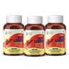 Fytika Fit Liver - 30 Tablets each (Pack of 3) | Liver Detox Supplement | Liver Detox with Milk Thistle, Kalmegh, Kutaki, Kasani, Haldi | For Men & Women view 1