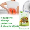 IndianJadiBooti Punarnava Boerhavia Diffusa | Supports Kidney Health & Water Balance | Punarnava Churna For Urinary Wellness & Swelling Relief | With Boerhavia Diffusa Root, 400 Grams Pack | (Pack Of 2) view 4