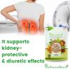 IndianJadiBooti Punarnava Powder Boerhavia Diffusa | Supports Kidney Health & Water Balance | Punarnava Churna For Urinary Wellness & Swelling Relief | With Boerhavia Diffusa Root, 400 Grams Pack | (Pack Of 2) view 4