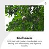 Bael Leaf Capsules - Ayurvedic Excellence for Gut Health & Weight Balance - Nourish, Heal & Restore with the Power of Bael - 120N view 2