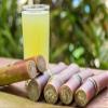 100ML Sugarcane Vinegar Masala Sirka Daddi Maa Ke Hath ka U.P. Ayodhya ka Desi Sirka,Uttar Pradesh ka Desi Masala Sirka, Ganne ka Desi Sirka,Home Made Sugarcane Vinegar with Spices view 2