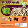 Musli view 2