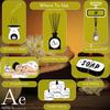 AE ARWA Essentials Ylang-Ylang Oil 500ml | Organic, Natural Aromatherapy Oil for Diffuser, Humidifier, Soap, Candle Making view 3
