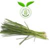 100% Pure organic Soil Field Fresh Lemongrass Stalks, Green, Culinary Grade,Boost Metabolism Used For Detox,100 Grams 50 Cups of Herbal Tea,Natural |No Preservatives |Chukku Khasi,Elumichai Poondu,Karpoora,Cymbopogon flexuosus,Essential Oil | Aromath view 2