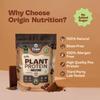 Origin Nutrition 100% Natural Plant Based Protein Powder 823g, Mocha Flavour with 25g per serve Plant Based Protein, No Added Sugar, Gluten Free, Dairy Free, Soy Free, Non - GMO, 20 servings view 2