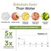 WELLBEING NUTRITION HydraSalt Electrolyte Drink With Zero Added Sugar | 5 Electrolytes & 3 Vitamins For Instant Hydration,Energy,Performance & Recovery, Cucumber Lemonade Flavor 90G,Pack of 15,Powder view 2