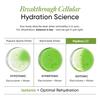 WELLBEING NUTRITION HydraSalt Electrolyte Drink With Zero Added Sugar | 5 Electrolytes & 3 Vitamins For Instant Hydration,Energy,Performance & Recovery, Cucumber Lemonade Flavor 90G,Pack of 15,Powder view 3