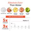 Wellbeing Nutrition HydraSalt Electrolyte Drink with Zero Added Sugar | 5 Electrolytes & 3 Vitamins for Instant Hydration, Energy, Performance & Recovery, Blood Orange Flavor 90g, Pack of 15 view 2