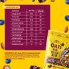 Growfitz 25g High Protein Oats 800 Gram, Pack of 2 | Dark Chocolate Oatmeal | 17g Fiber, No Sugar, With Almonds, Raisin, Pumpkin and Chia Seeds & Healthy Fats | Super Rolled Oats | Breakfast Cereals view 2