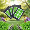 Safe-O-Kid (24 Patches) Ayurvedic Plant-Based Anti-Mosquito Patches for Babies Large Stickers (Green) view 1