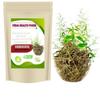 Vedai Health Foods Dry Chirayata - 100g (Nilavembu), Organically Grown, Premium Plant Based, 100% Natural view 1