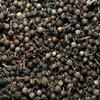 Awadh Piper Cubeba Tailed Pepper Shital Chini Kabab Chini 100gm Other names are Kabbaaba, Habb al-aroos, Kharkoos, Kababchini, Sugandhmarich, Cubebs, Tailed-pepper, Java Pepper, False Pepper, Cubbe, Poivre  queue, Kubebenpfeffer, Schwanzpfeffer, S view 2