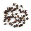 Awadh Piper Cubeba Tailed Pepper Shital Chini Kabab Chini 100gm Other names are Kabbaaba, Habb al-aroos, Kharkoos, Kababchini, Sugandhmarich, Cubebs, Tailed-pepper, Java Pepper, False Pepper, Cubbe, Poivre  queue, Kubebenpfeffer, Schwanzpfeffer, S view 3