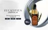 Ahroomi Eucalyptus Essential Oil, 10ml for Acne Care, Skin Hydration, Oil Control & Aromatherapy, Pure & Natural, Therapeutic Grade view 2