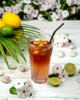 Boruvka - LEMON ICED TEA Syrup, 750ml, No Artificial Flavours, No Artificial Colours view 3
