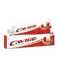 CAVIGOo Rcm All Rounder Organic Herbal Toothpaste, Relieves,Cold Relief,Gum Swelling,Freshness,Plaque,Gingivitis,Antiseptic - 100G (Pack Of 2) view 1