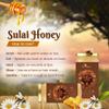 BeeCause Sulai Honey | 100% Pure, Raw & Unprocessed | Premium Floral Nectar from Sulai Blossoms | 330g view 3