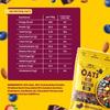 Growfitz 25g High Protein Oats 800 Gram, Pack of 4 | Dark Chocolate Oatmeal | 17g Fiber, No Sugar, With Almonds, Raisin, Pumpkin and Chia Seeds & Healthy Fats | Super Rolled Oats | Breakfast Cereals view 2