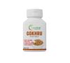 AayuHeal Gokhru Extract Tablets  60 Tablets | Natural Urinary & Kidney Support | Boosts Vitality & Muscle Strength | Ayurvedic Wellness Supplement view 4